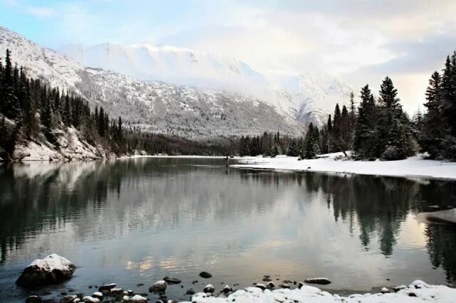 Cinemagraph GIF - Find & Share on GIPHY Cinemagraph, Cinemagraph gif, Gif
