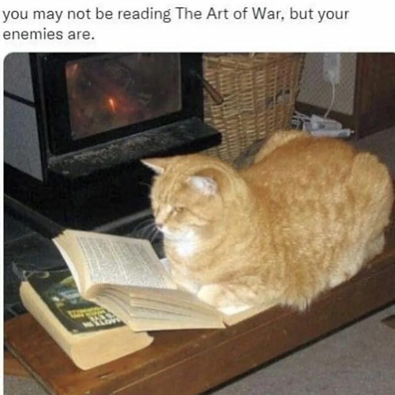 Читать необязательно