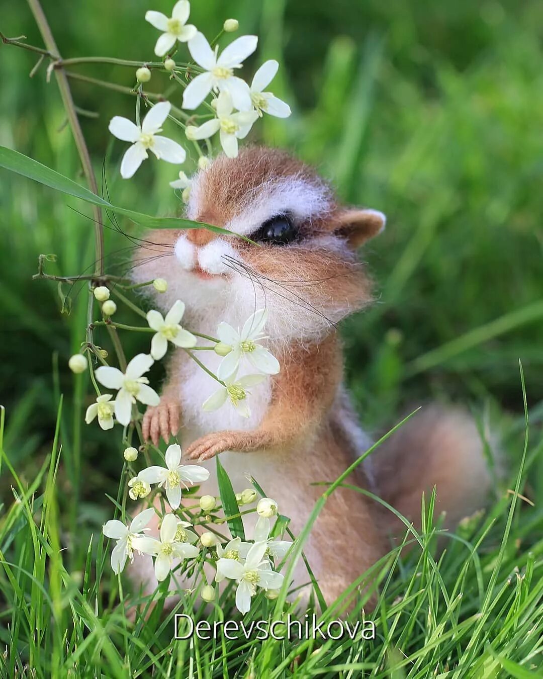 Yee chong лисёнок. невероятно мило. милый кошка. Art of silverfox лисята. лисичка от silverfox5213.