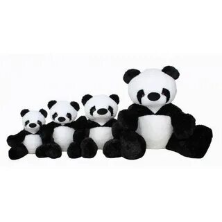 Panda net
