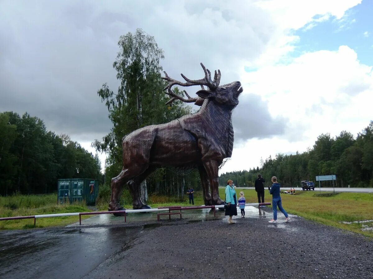 Чёрные камни Карелия зоопарк. Зоопарк Карелия Сортавала. Карельский зоопарк Киркколахти. Карельский зоопарк Рускеала.