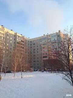Королева 5 2