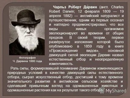 Биология 9 класс дарвин