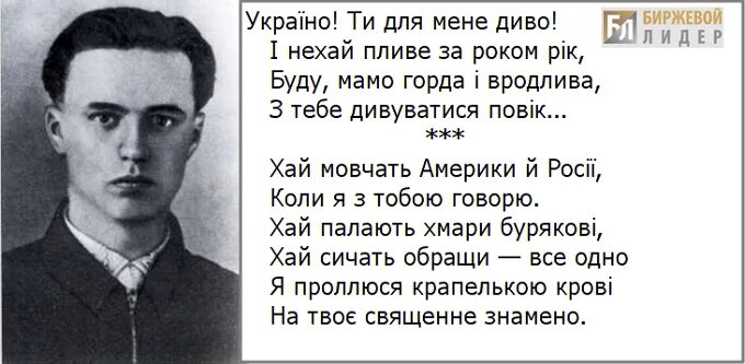 пушкин стихи о европе украине. симоненко стих о бандеровцах. тарас шевченко о хохлах стихотворение. стихи поэтов украины. василий симоненко украинский поэт о бандеровцах.