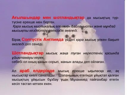 Порно құл қожайын