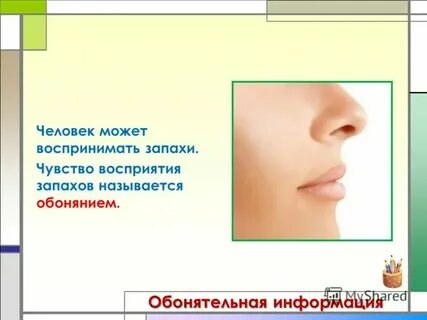 Почему говорят слышать запах