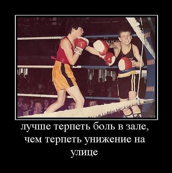 Не терпите боль. Терпеть боль картинки. Смешное про бокс. Рингтон он терпит боль. Не терпите.