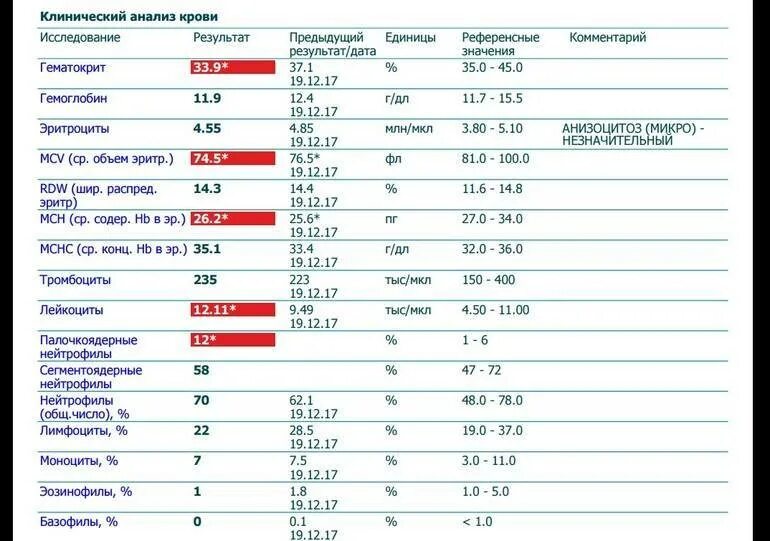 Кровь сегментоядерные повышены у ребенка. Палочкоядерные нейтрофилы в анализе крови обозначение. Палочки и сегменты в анализе крови норма у детей. Норма клинического анализа крови нейтрофилы в крови. Сегментоядерные нейтрофилы в крови норма.