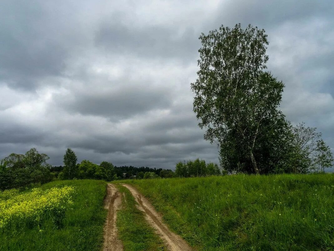 Пасмурное лето. Пасмурный июнь. Пасмурный день. Хмурый летний день. Лето июнь пасмурно.