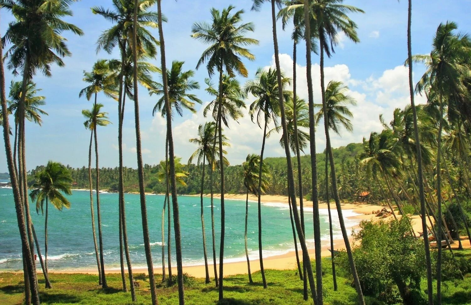 Шри-Ланка. Бухта Бентота Шри Ланка. Цейлон пляжи. Река Бентота Шри Ланка.