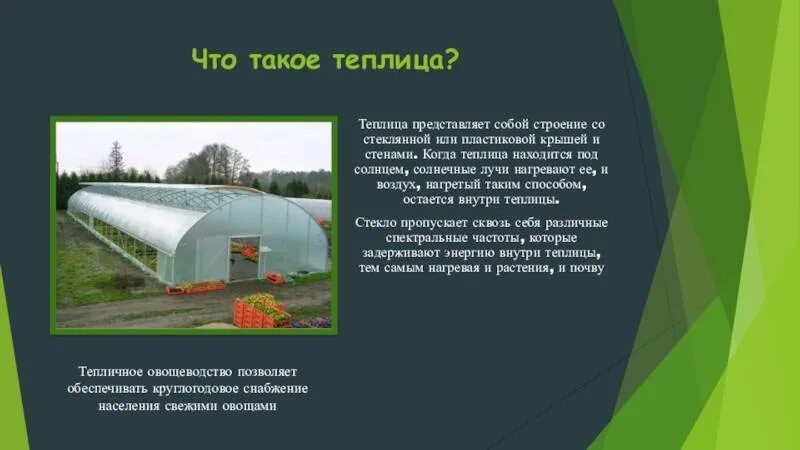 Презентация теплицы. Сообщение о Тепличном хозяйстве. Проект теплицы. Тепличное хозяйство 4 класс. Сооружения защищенного грунта