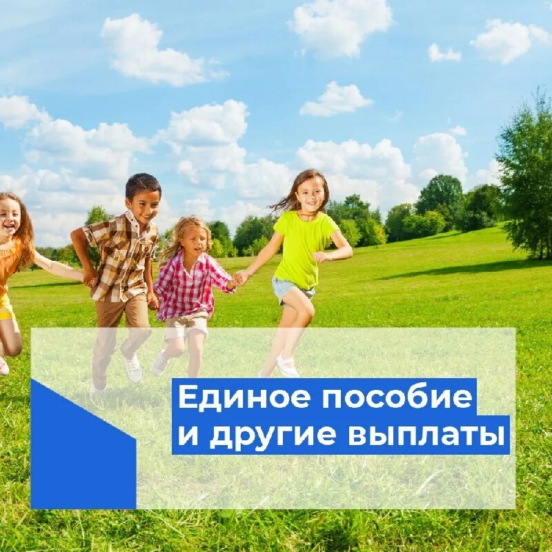 Социальные выплаты инфографика. Пособие в другом городе. Социальные выплаты на детей. Региональные пособия. Пособие в другом городе.