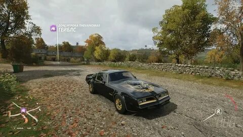 Forza 5 вылетает без ошибки