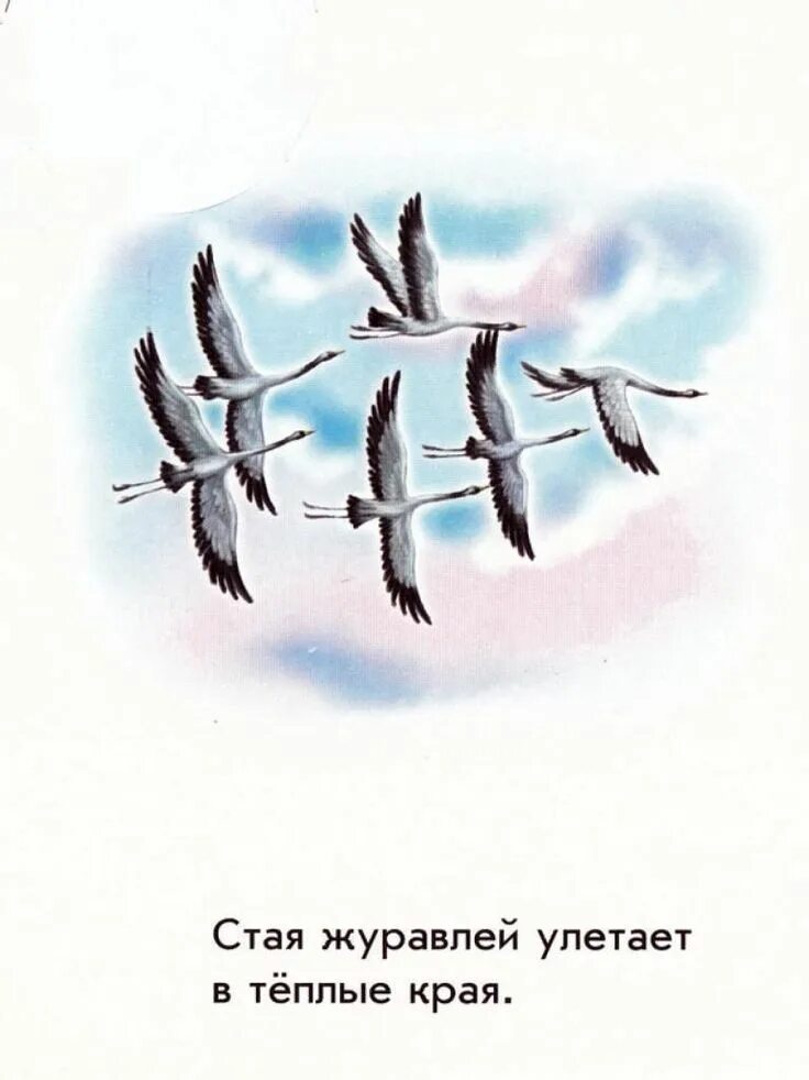 Журавли полетели в теплые края. Иллюстрация птицы улетают в теплые края. птицы улетают в теплые края. птицы улетают в теплые края для детей. птички улетели в теплые края.