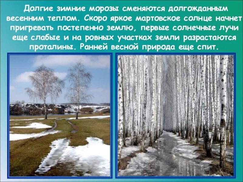 В течение долгой зимы