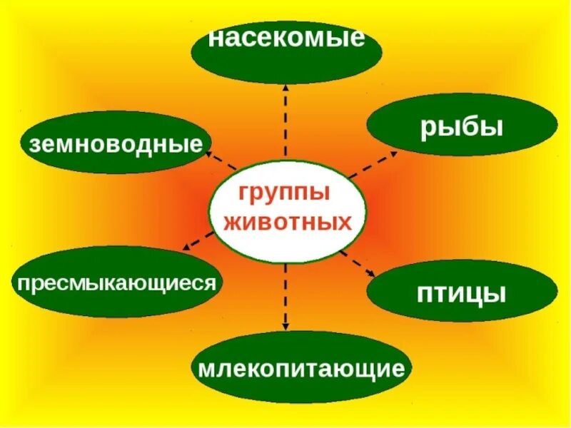 Схема животные окружающий мир 3 класс. Группы животных. группы животных 3 класс. презентация группы животных. группы животных окружающий мир.