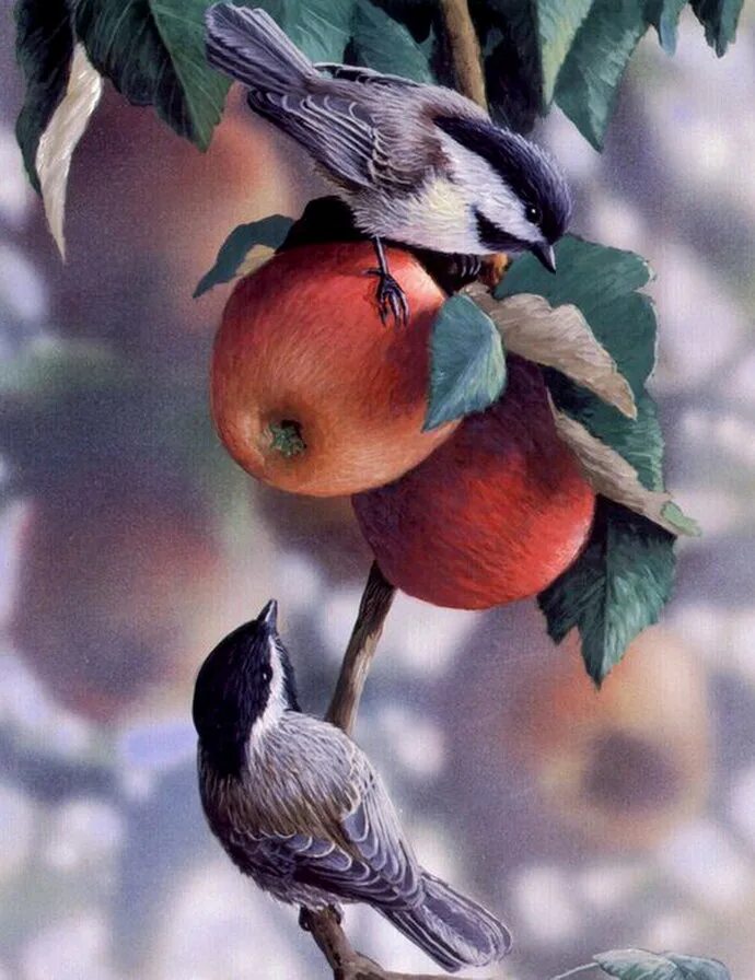 Птицы падают с деревьев. Художник Брэдли Джексон Bradley Jackson. Bradley Jackson художник картины. Художница Rosemary Millette.