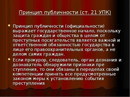 Принцип публичности