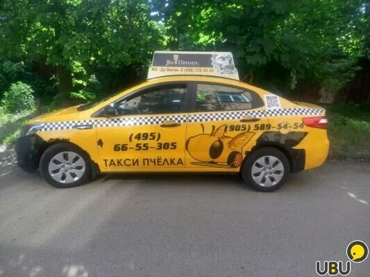 такси пчелка телефон
