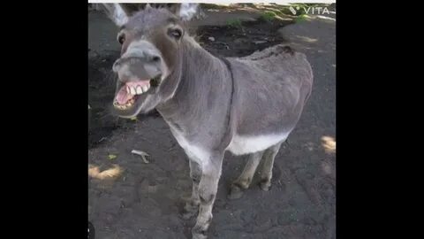 Көліктегі жалаңаш сурет