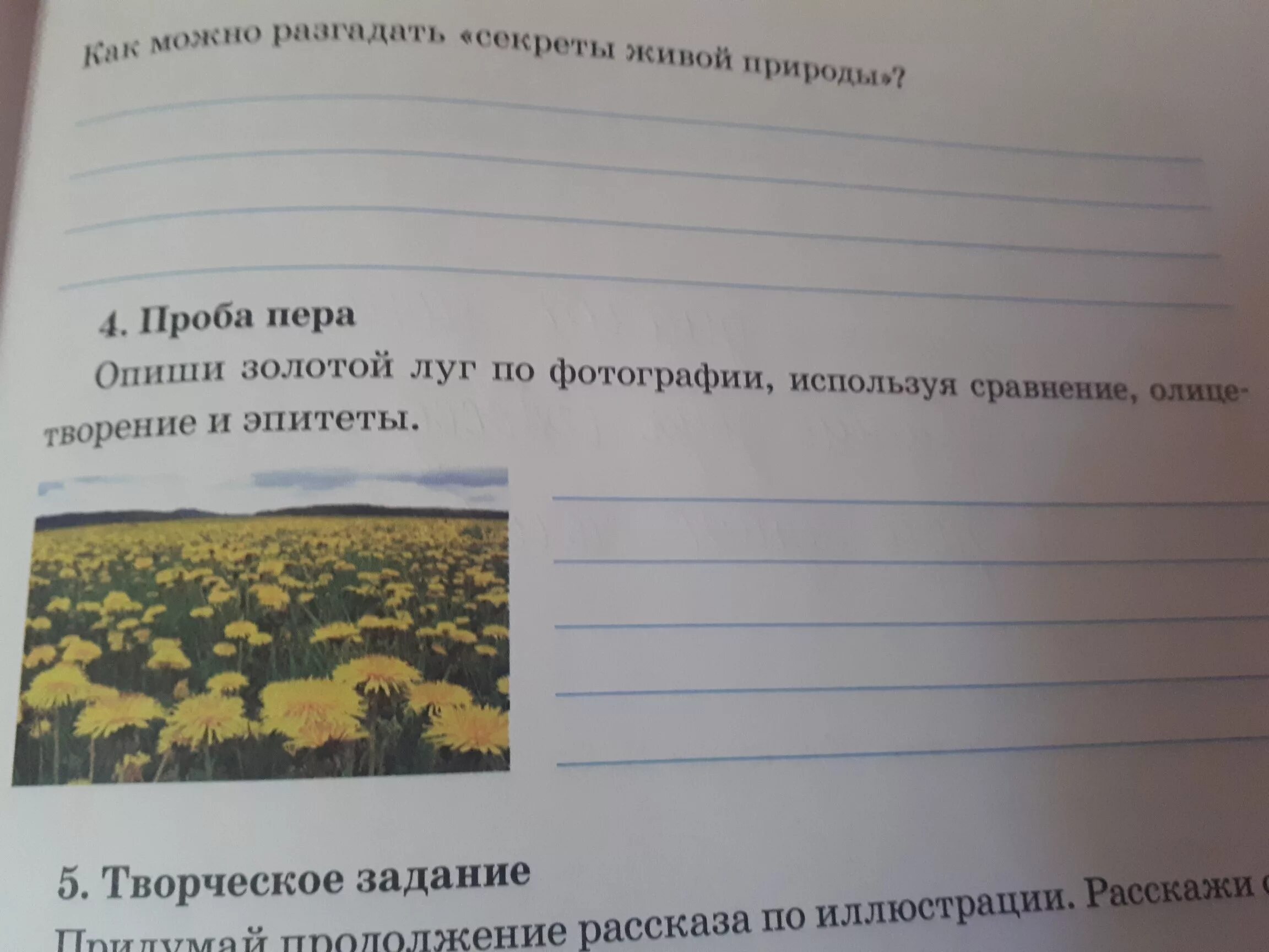 Пришвин золотой луг. Иллюстрация к произведению Пришвина золотой луг. Творческое задание по теме золотой луг. Сочинение золотой луг.