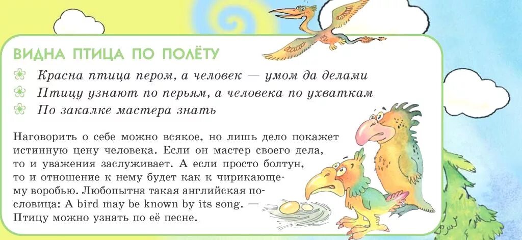 Видна по полету. Видно птицу по полёту – человека по делам.. Видна птица пословица. Поговорка видно птицу по полету. Пословицы о птицах.