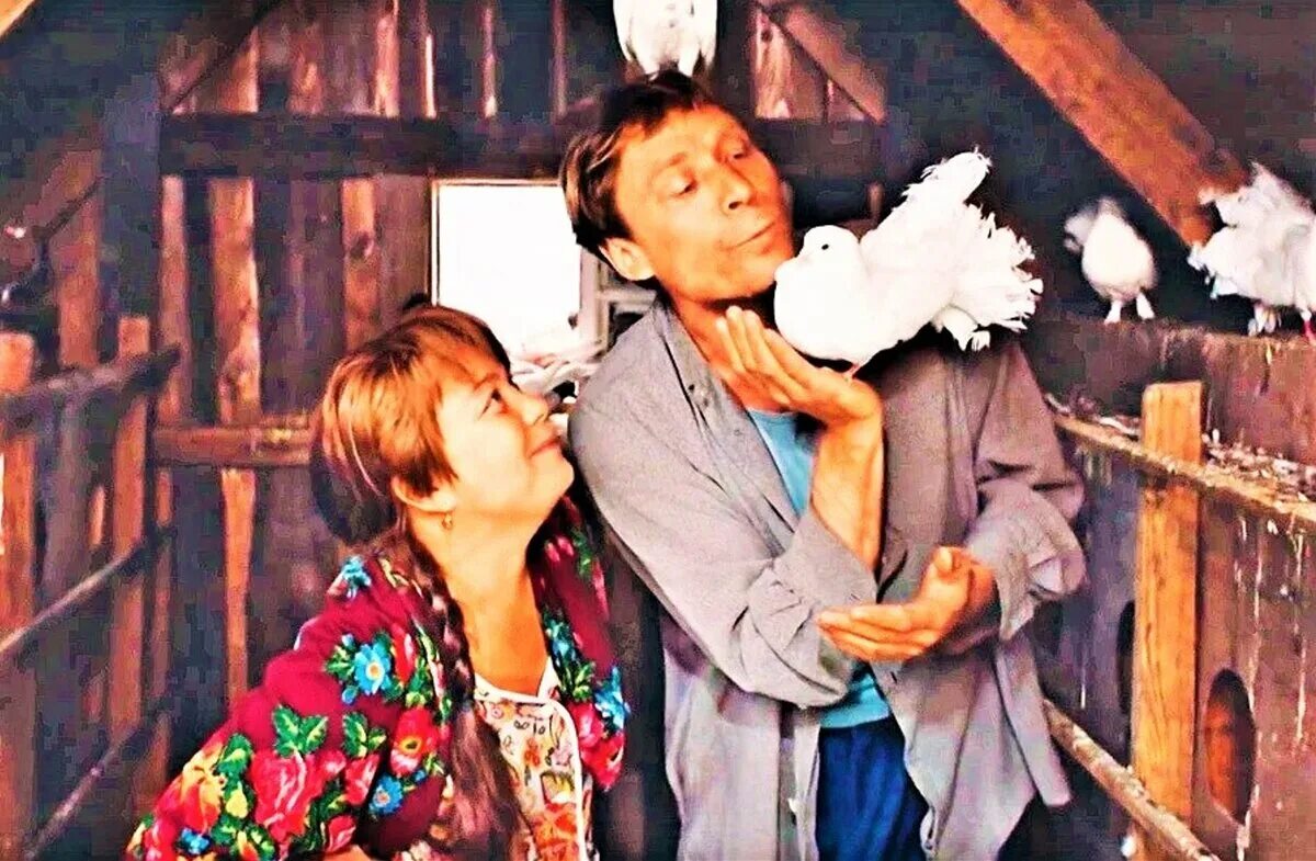 Любовь и голуби на экран. Любовь и голуби фильм 1984 нина дорошина. фильм любовь и голуби надя. любовь и голуби фильм 1984 юрский. надежда кузякина – нина дорошина.