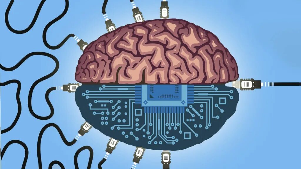 Brain 291. Запрограммированный мозг. Мозг человека компьютер. Изображение мозга.