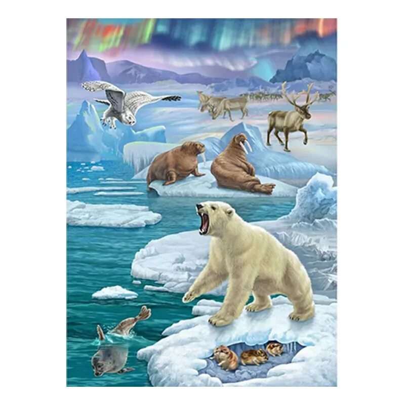 животные арктики и антарктики. животные севера для родителей. консультация животные севера. консультация для родителей на тему животные севера. консультация животные севера.