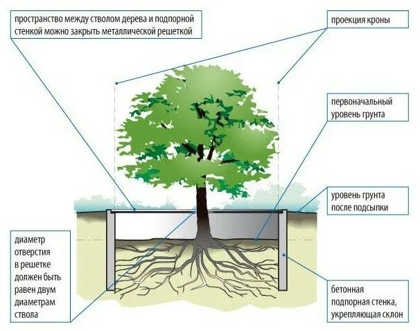 Под деревья решений