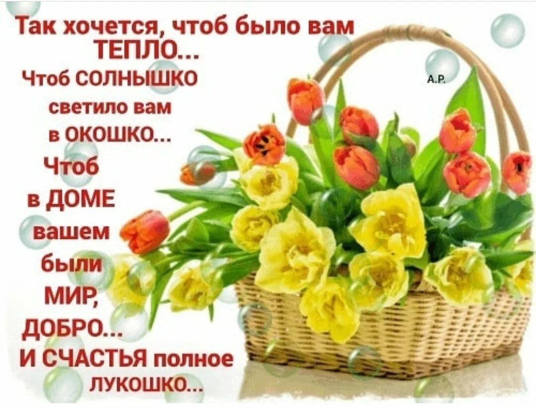 Хочется пожелать теплых