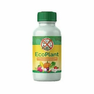 Eco plant