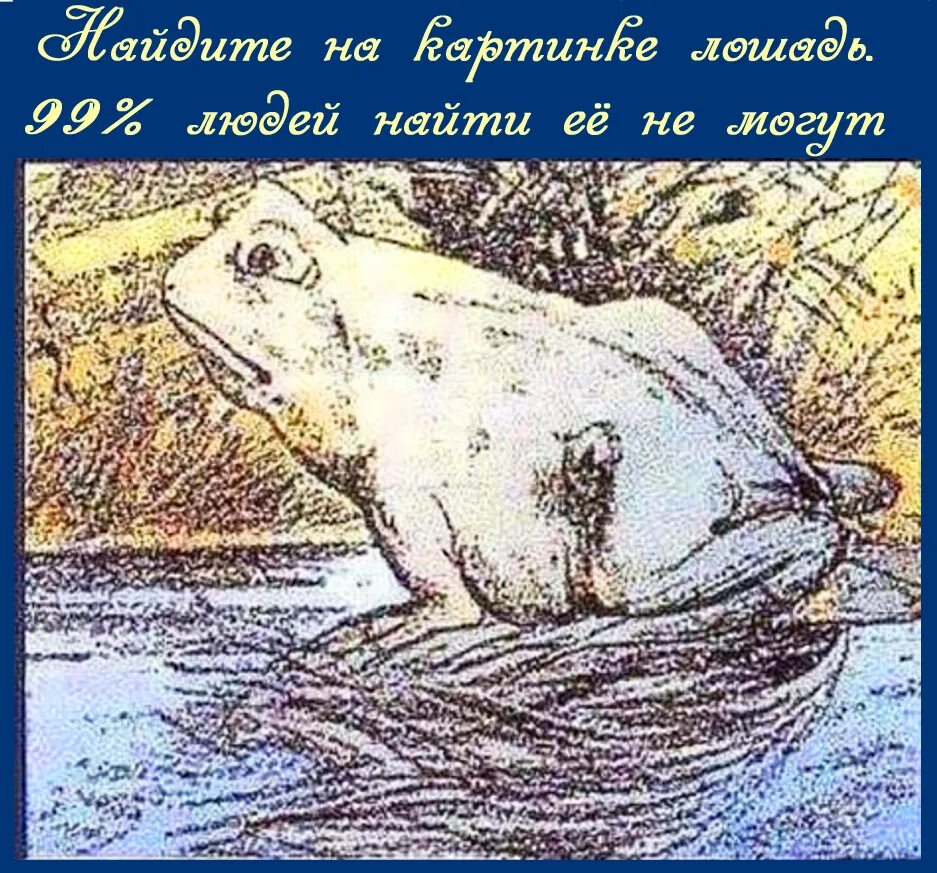 Как найти лошадь. Лягушка лошадь иллюзия. найди лошадь на картинке лягушки. найти лошадь на картинке с лягушкой. оптические иллюзии перевертыши.