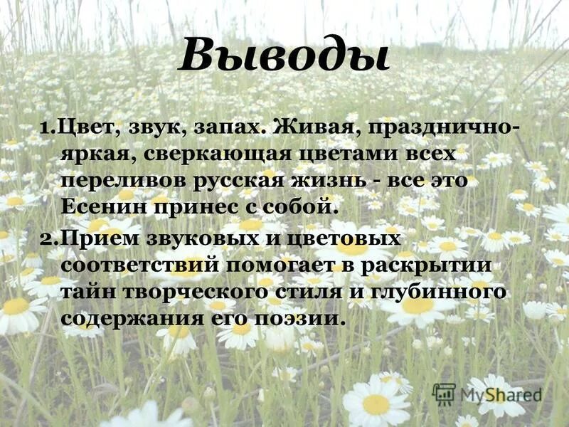 все это звуки и запахи тучи