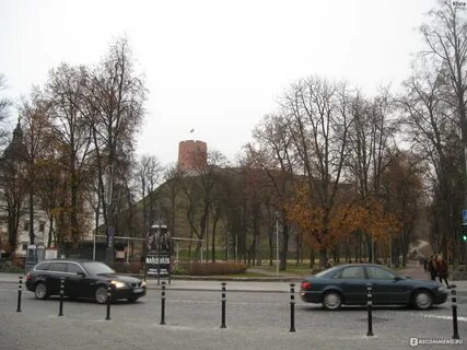 Литва отзыв
