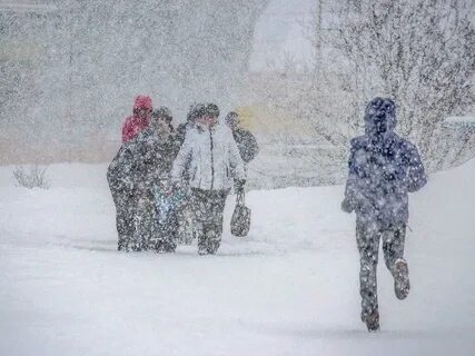 Беларусь присыпало снежком