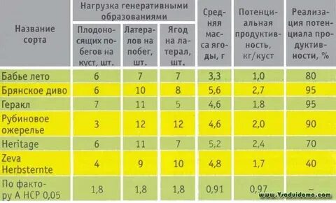Яблоня дегустационная оценка