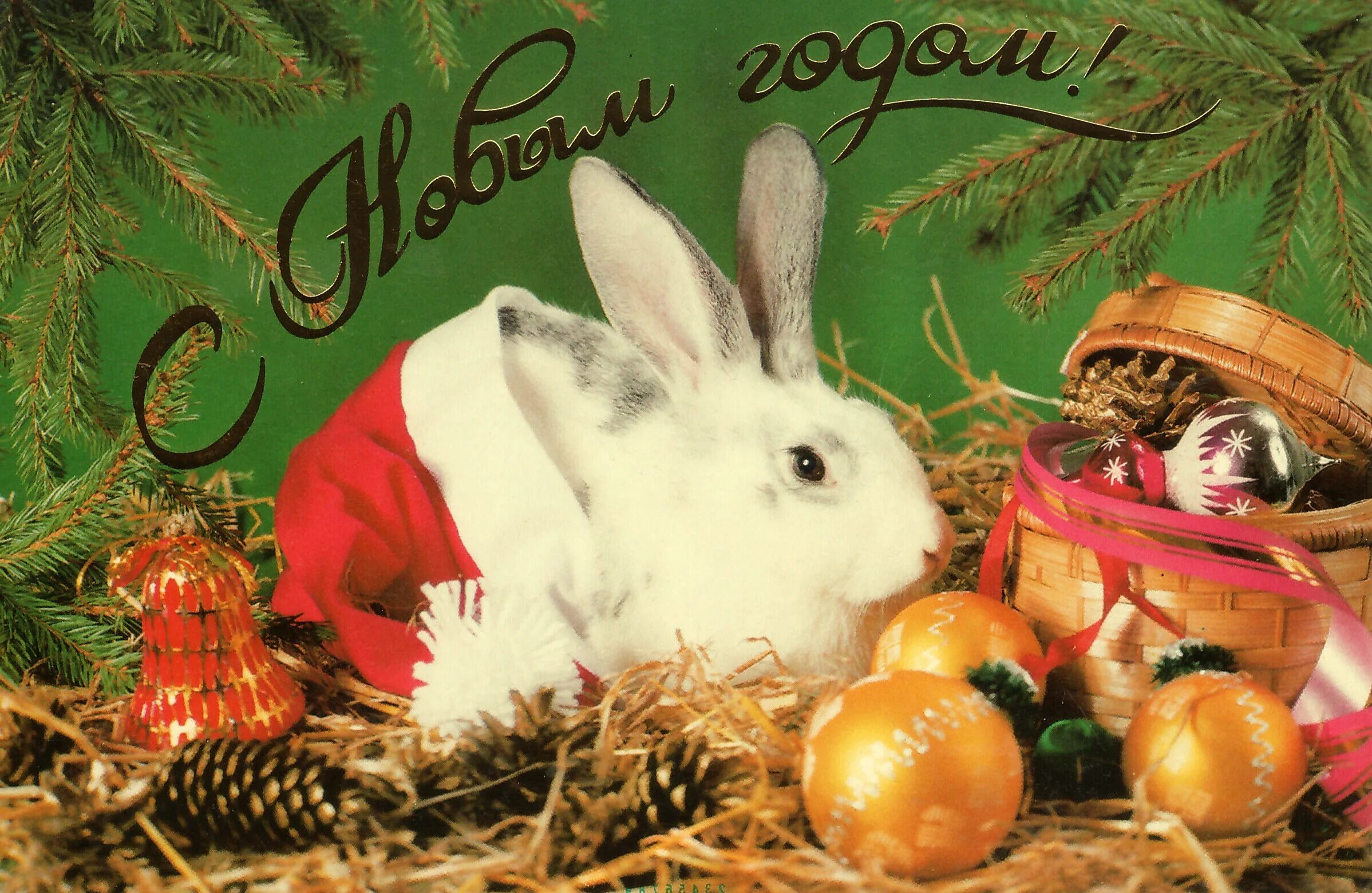 24 год год кролика. Новогодний заяц. Зайчик новый год. Новогодние Зайчата. С новым годом кролика.