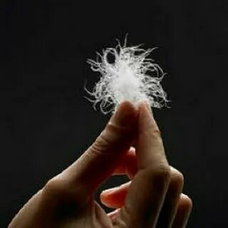 Fill power