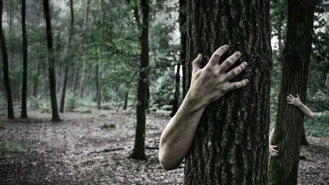 Кричать в лесу от стресса. Кричать в лесу. Крик в лесу. Кричать в лесу. Покричать в лесу.