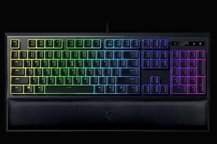 Xynth audio chroma. Razer Ornata Chroma 1. Razer Chroma клавиатура. Razer Huntsman Ornata Chroma. Razer Ornata Chroma индикаторы.