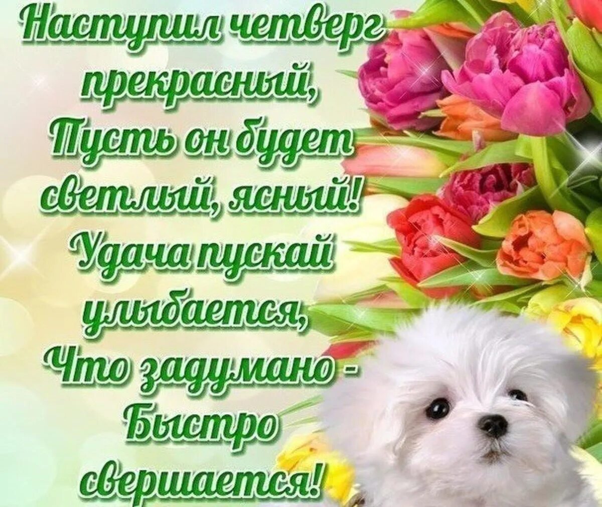 Открытка Отличного Четверга!
