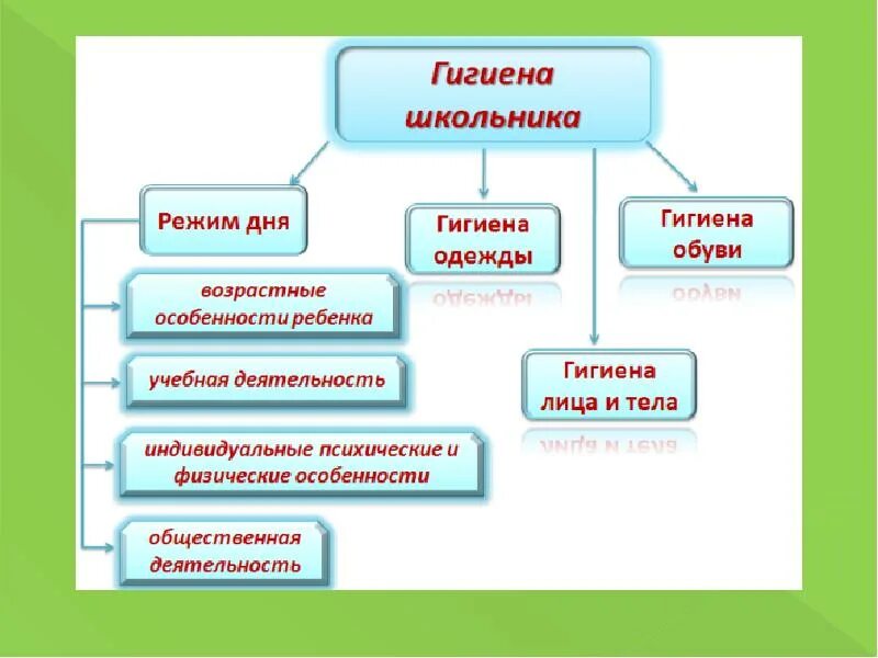 Школьный возраст гигиена. Гигиена школьника. Личная гигиена школьника. Гигиена школьника презентация. Презентация на тему гигиена школьника.