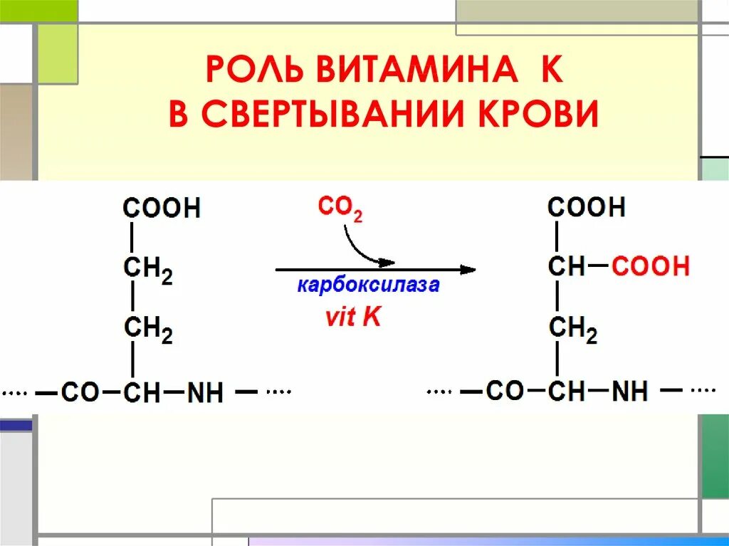 Витамин участвующий в свертывании крови