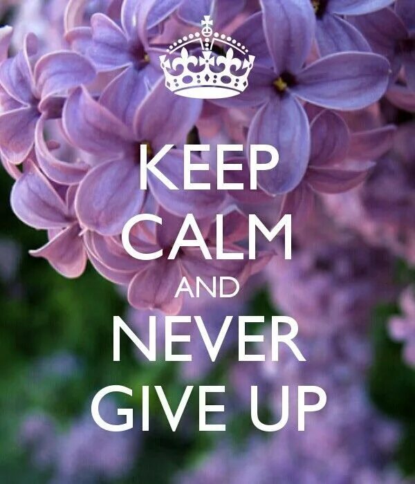 Keep Calm and never give up. Never give. Never give up заставка. Never give up картинки.