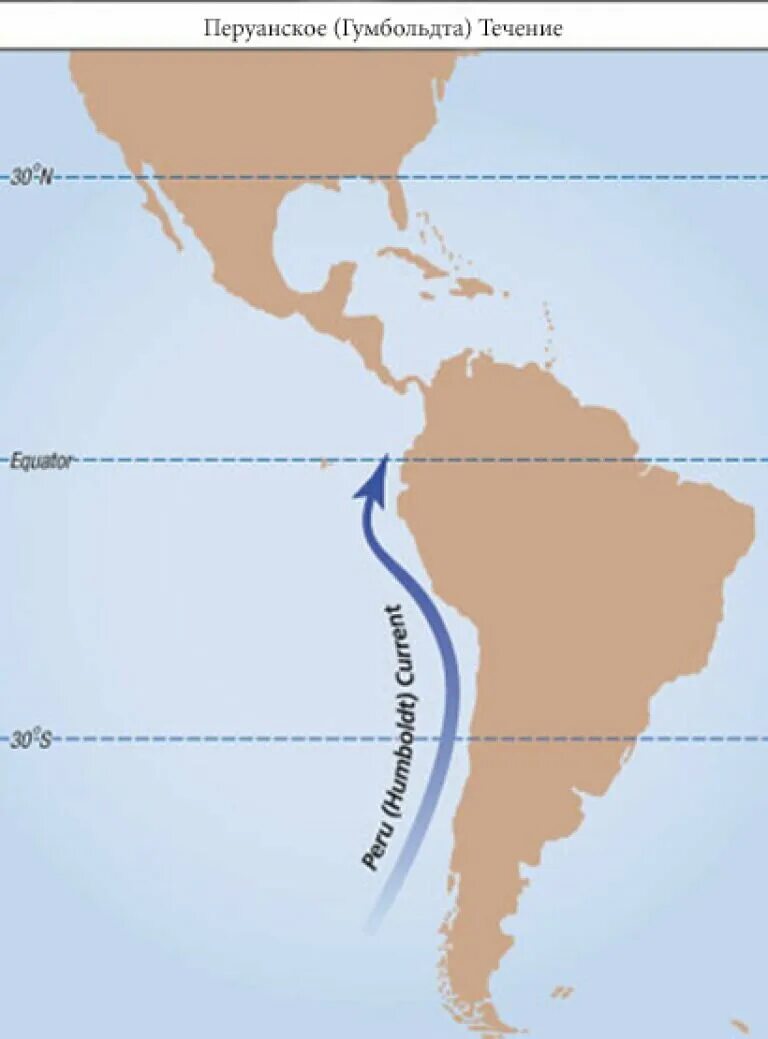 Холодные течения южной америки. Перуанское течение на карте. Перуанское течение на карте Южной Америки. Течения: перуанское, Гвианское, бразильское.. Холодное перуанское течение в Южной Америке.