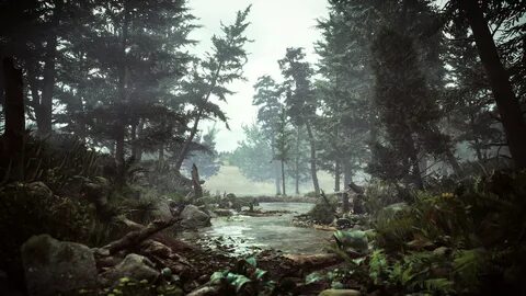 Scene environment