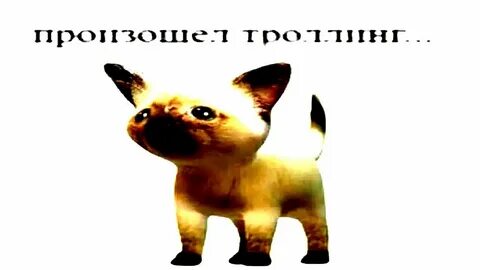 Произошел забавный
