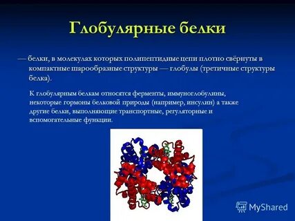 Белки какая ткань