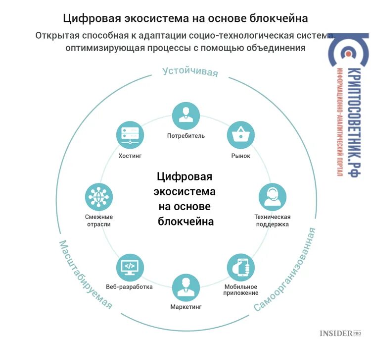 Цифровая экосистема тесты. Экосистема. Цифровая экосистема. Цифровые экосистемы в России. Экосистема цифровых платформ.